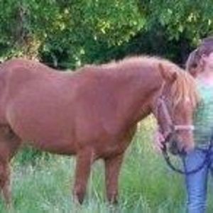 Meet your Posher, Barbara