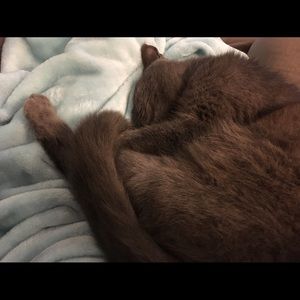 Meet your Posher, Natalie