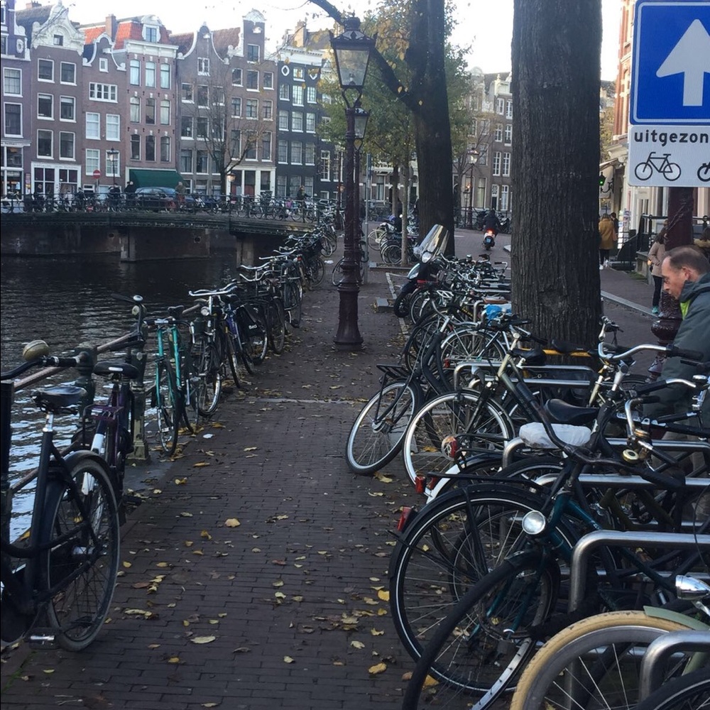 Meet your Posher, Tamara