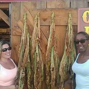 Meet your Posher, Ruthie