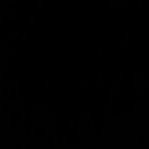 Meet your Posher, Latasha