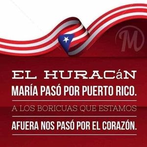 Meet your Posher, Liza