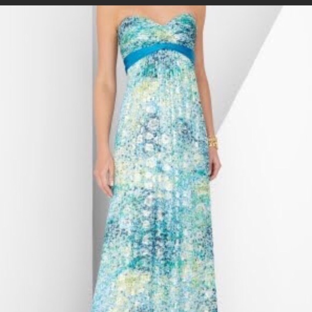 BCBG stunning silk Kai gown 4