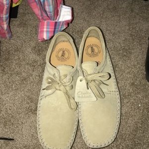 Clark’s wallabies
