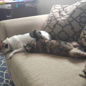 Meet your Posher, Barbara