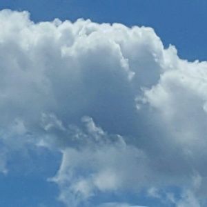 Meet your Posher, Debra