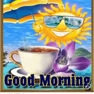 Meet your Posher, Rita