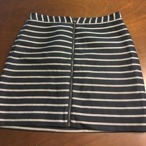  The Limited Navy Skirt with Zipper Front