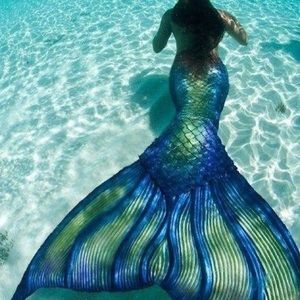 Meet your Posher, Fredrick