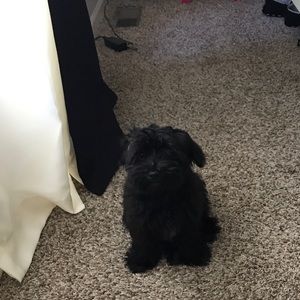 Meet your Posher, Kalyn