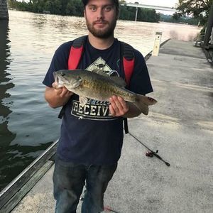 Meet your Posher, Billy