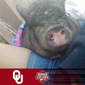 Meet your Posher, Aminda