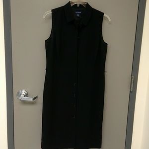 Ann Taylor dress
