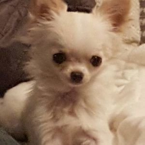 Meet your Posher, Melanie