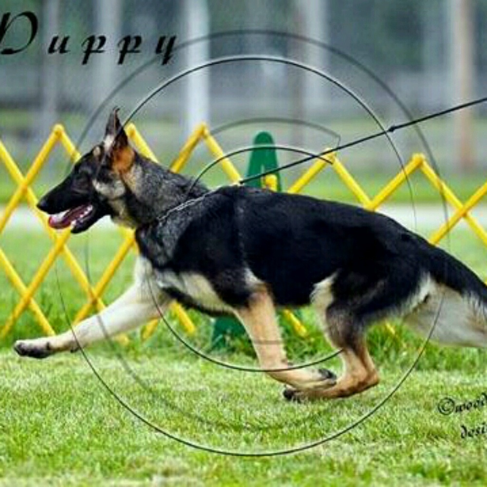 Meet your Posher, Jill