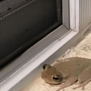 Meet your Posher, Avery