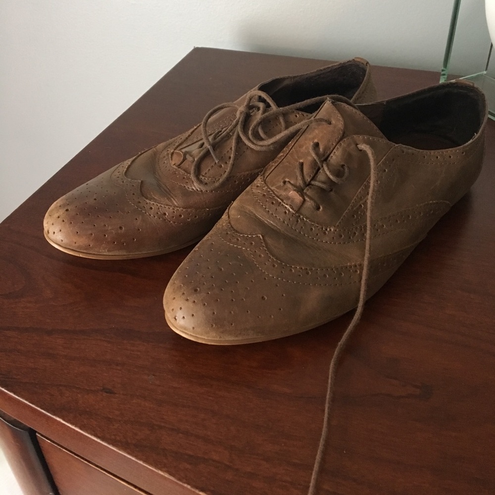 Steve Madden Trouser Brown Leather
