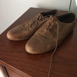 Steve Madden Trouser Brown Leather