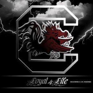 Meet your Posher, Laurie