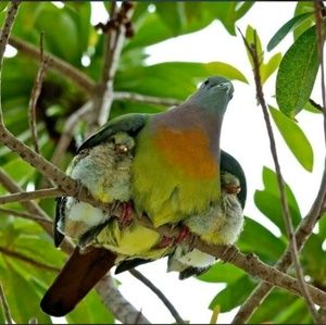 Meet your Posher, Juany