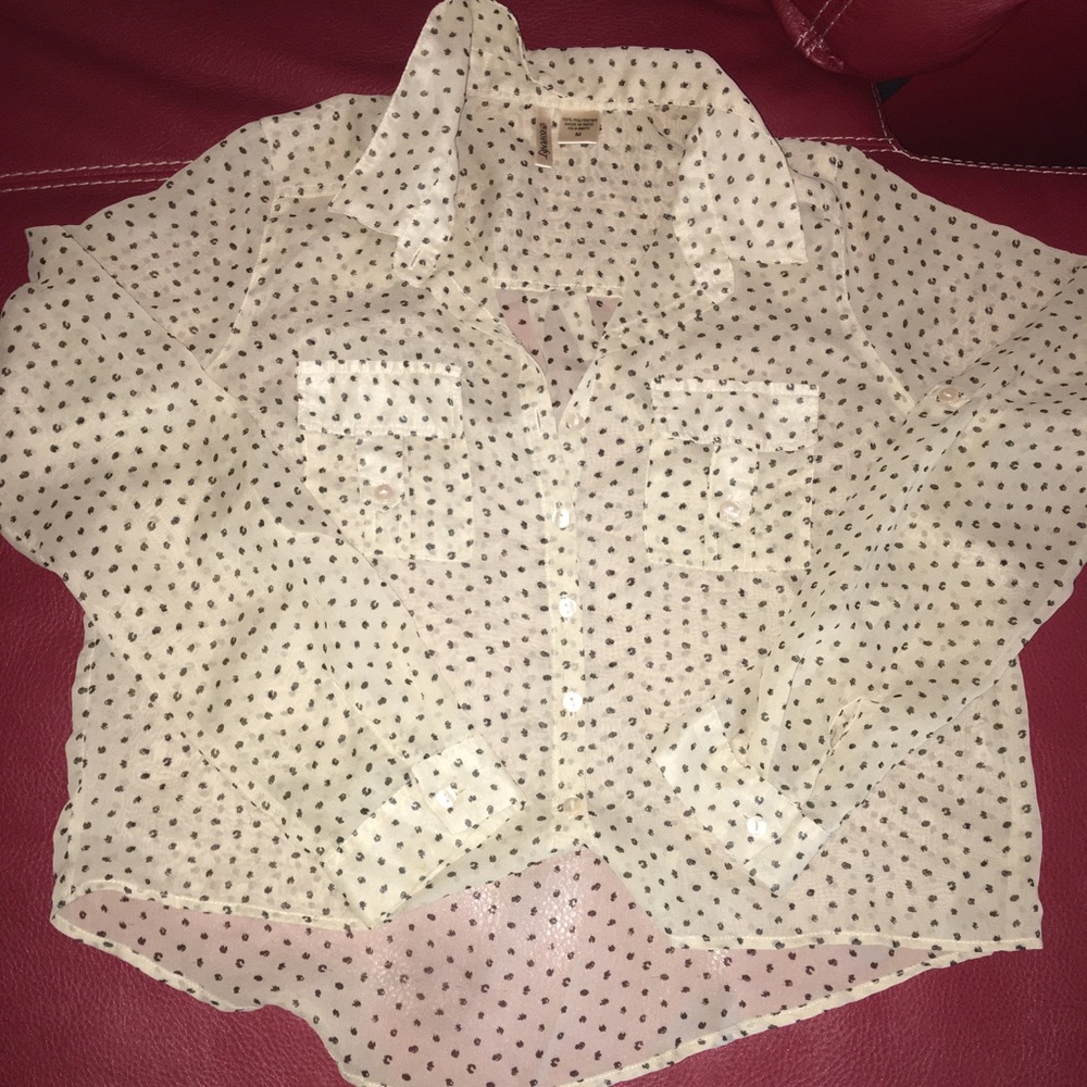 Sheer shirt