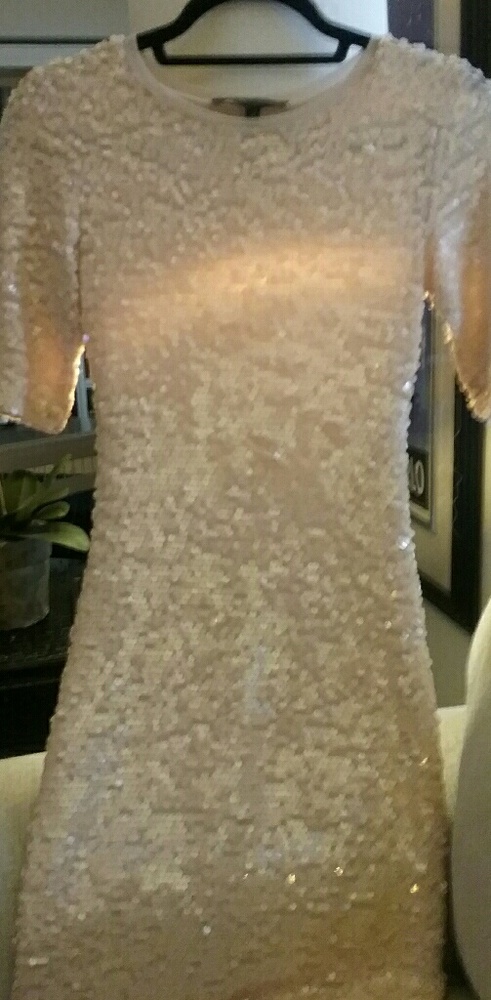 BCBG Max Azaria blush sequin dress