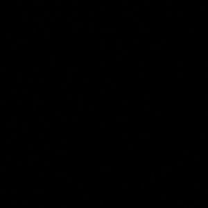 Meet your Posher, Joy