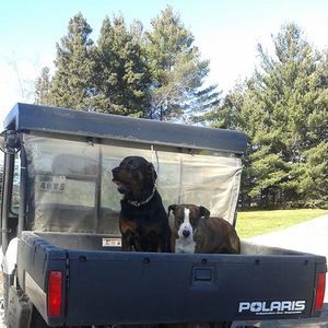 Meet your Posher, Carla