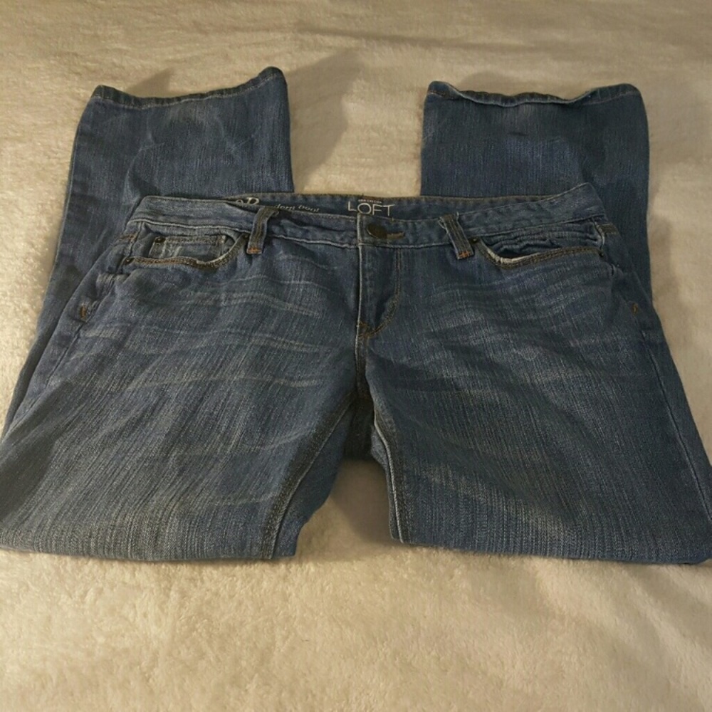 Ann Taylor 10 P LOFT denim
