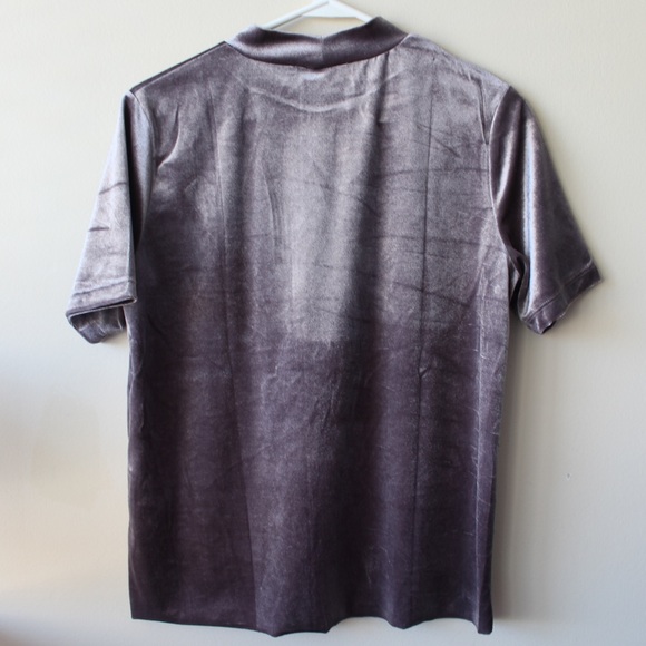 Zara Raw-hem Velvet Top (Mauve) - Picture 2 of 7