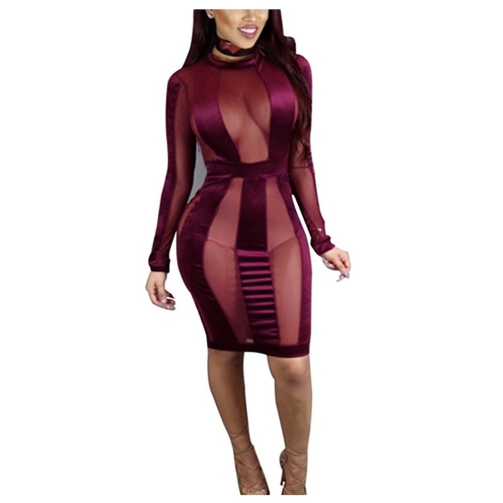 Mesh Bodycon Dress