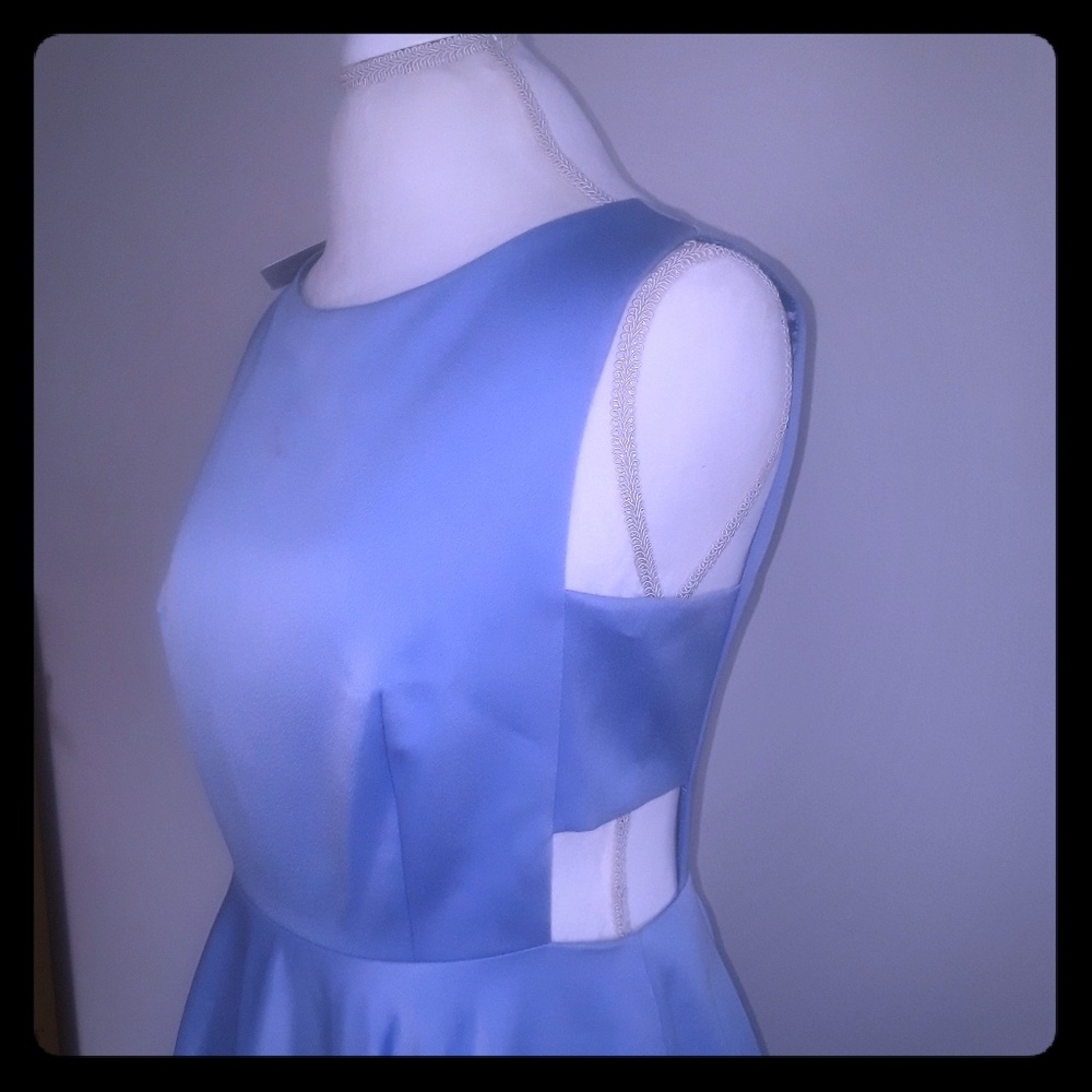 Ted Baker Dress