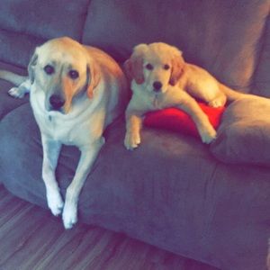 Meet your Posher, Jenna