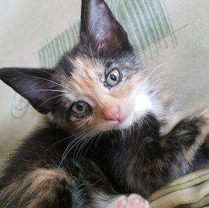 Meet your Posher, Florence