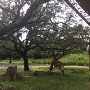 Meet your Posher, Anum