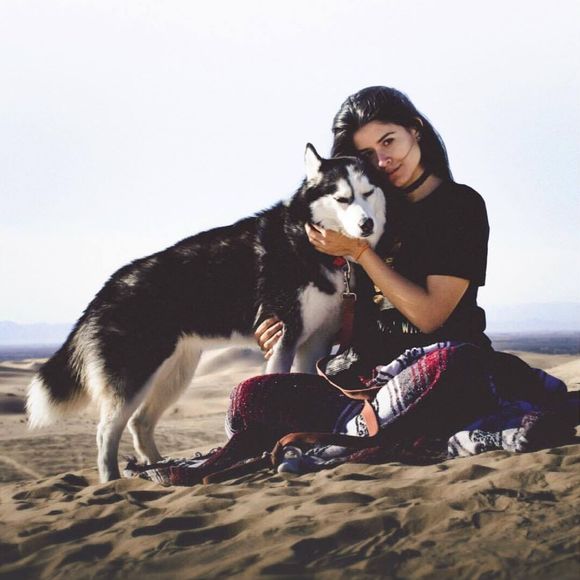 Meet your Posher, Tania - Picture 1 of 1