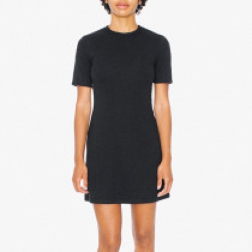 American Apparel Ponte Crewneck Dress