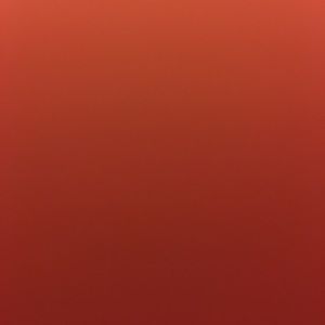 Meet your Posher, Ivy