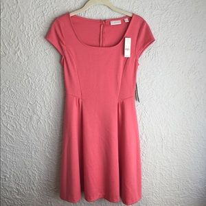 New York & Company Cocktail Dress