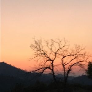 Meet your Posher, Lily