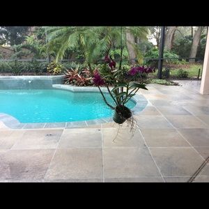 Meet your Posher, Anne