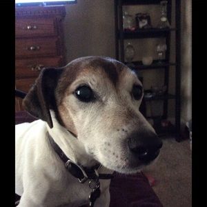 Meet your Posher, Dalton