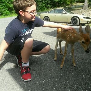 Meet your Posher, Tammy