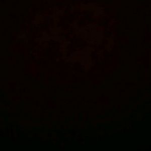 Meet your Posher, Fermin