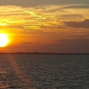 Meet your Posher, Deidre