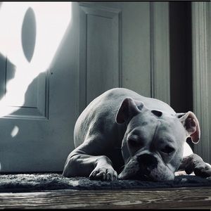 Meet your Posher, Ava