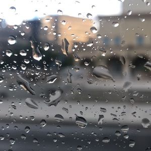 Meet your Posher, Dante