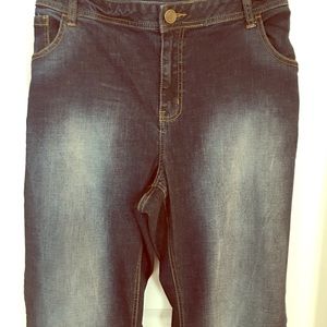 Lane Bryant Genius Fit flare