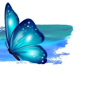 Meet your Posher, Bridget