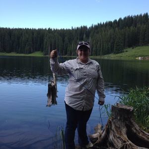 Meet your Posher, Molly